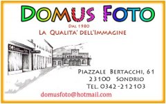 LOGO DOMUS